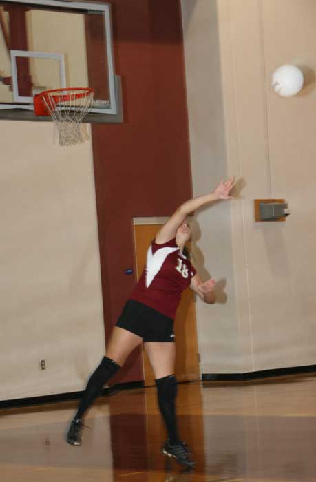 vollball12