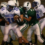 Several Canes have the runner wrapped up