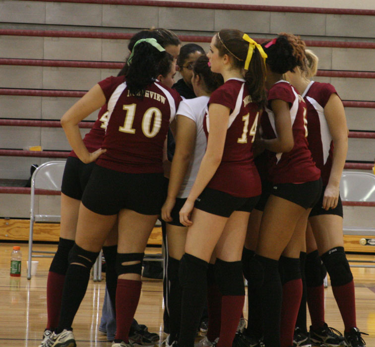 nhsvball20.jpg