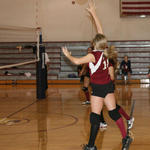 nhsvball22.jpg