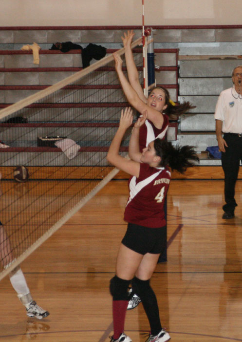 nhsvball29.jpg