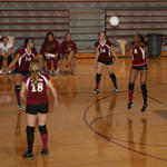 nhsvball45.jpg