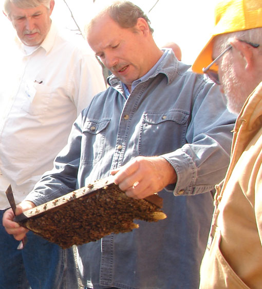 David shows us about splitting hives