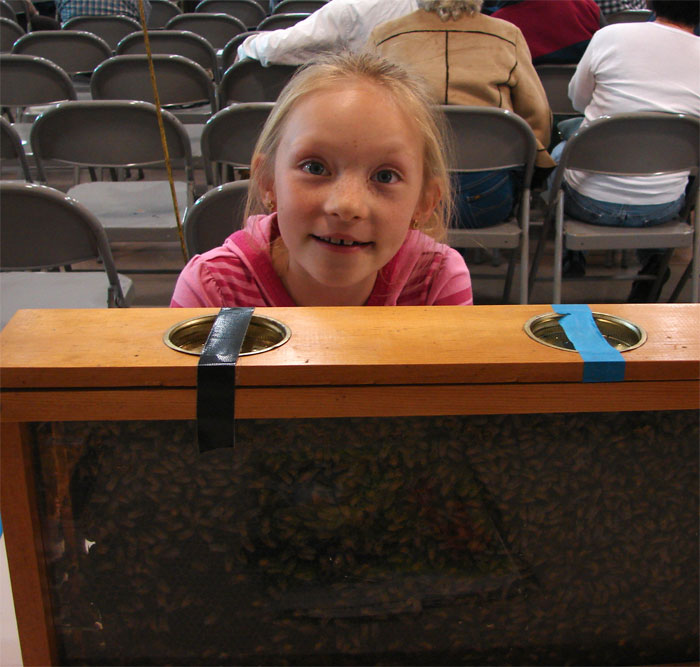 Rosalyn Miller with observation hive