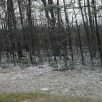 Alabama Snow