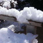 snow09.jpg