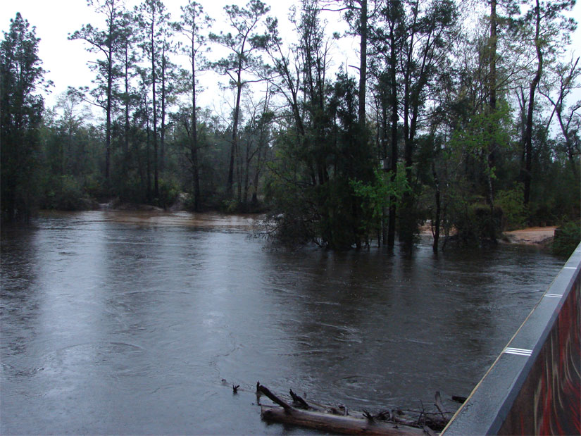 Perdido River -- FL to AL View