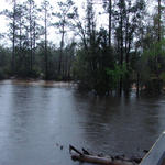 Perdido River -- FL to AL View