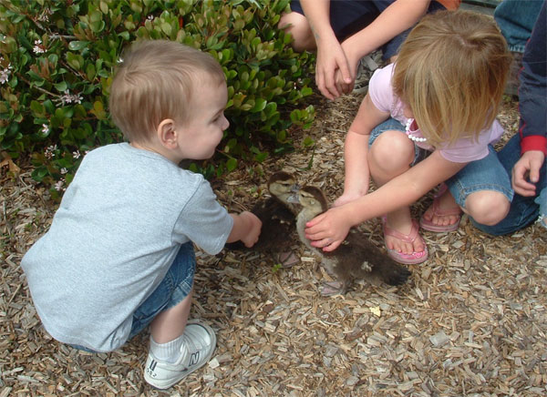 Children enjoying the ducks 