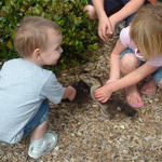 Children enjoying the ducks 
