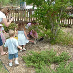 Children enjoying the ducks 
