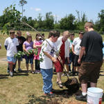 Tree Planted In Memory Of Mrs. Smith