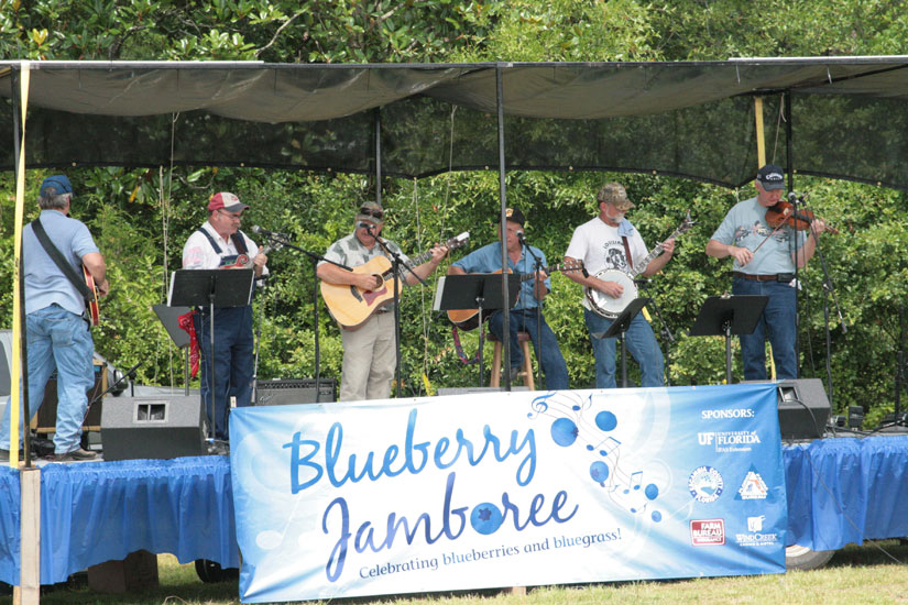 blueberry-jamboree45.jpg