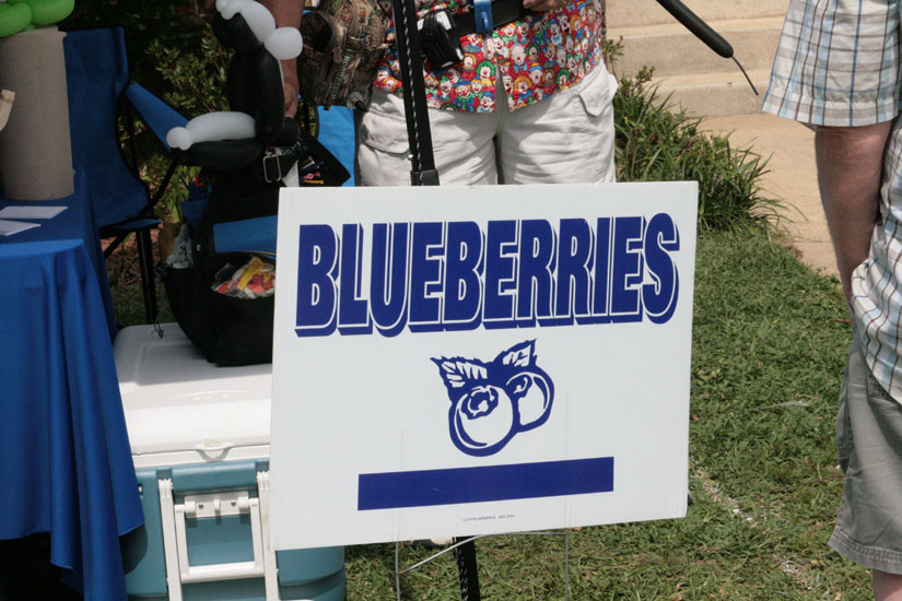 blueberry-jamboree50.jpg