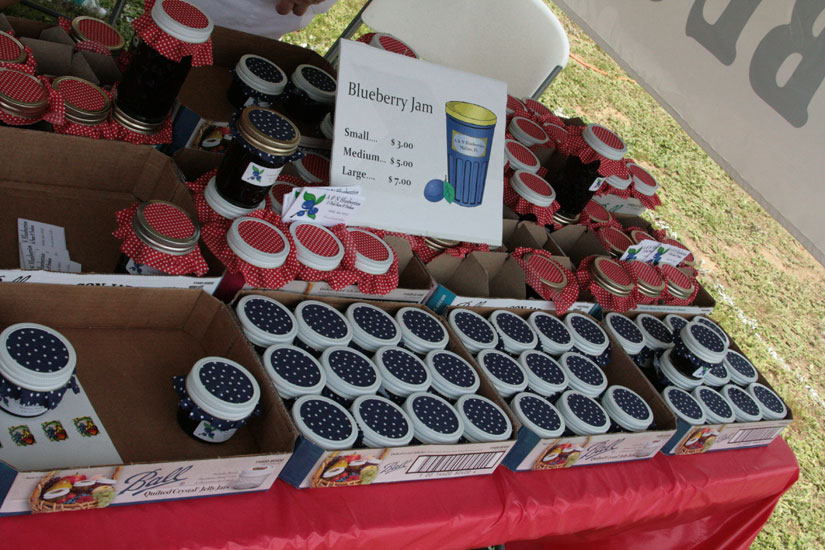 blueberry-jamboree72f.jpg