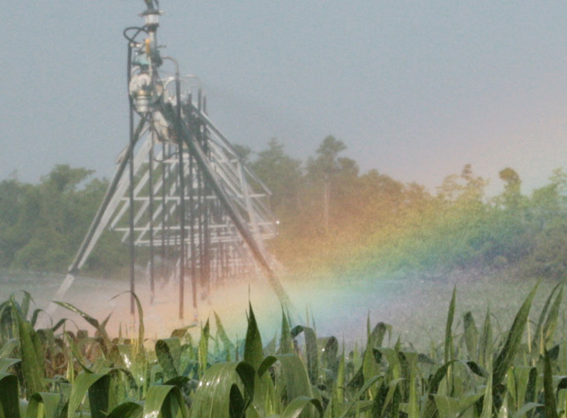 irrigation-rainbow10.jpg