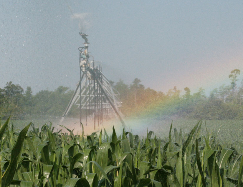 irrigation-rainbow11.jpg