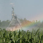 irrigation-rainbow11.jpg