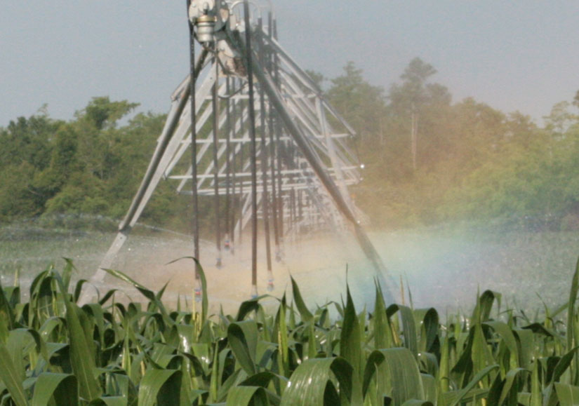 irrigation-rainbow12.jpg