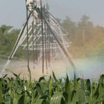 irrigation-rainbow12.jpg