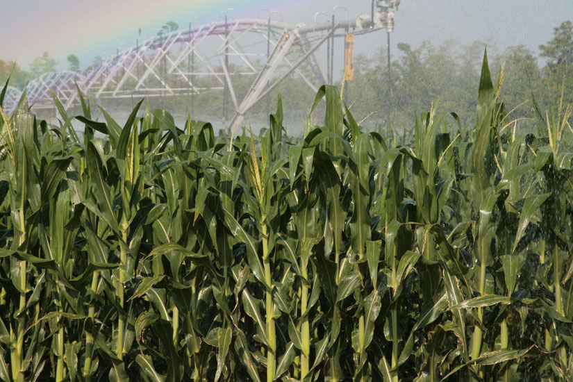 irrigation-rainbow13.jpg