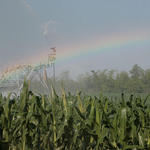 irrigation-rainbow14.jpg