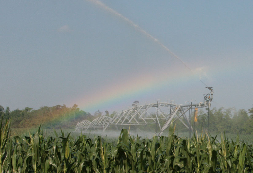 irrigation-rainbow15.jpg