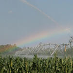 irrigation-rainbow15.jpg