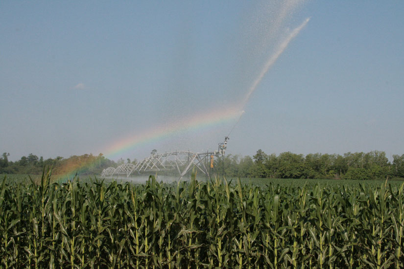 irrigation-rainbow19.jpg