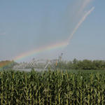 irrigation-rainbow19.jpg