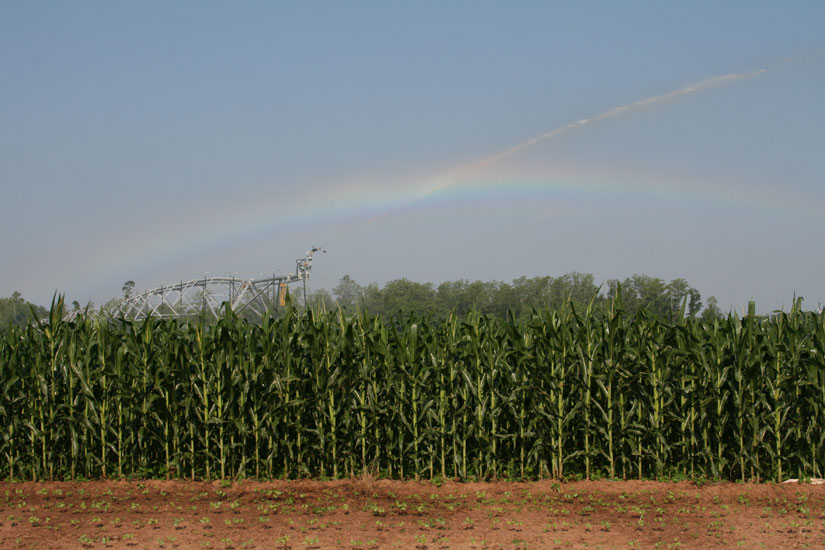 irrigation-rainbow20.jpg