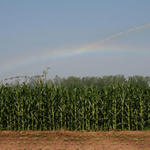 irrigation-rainbow20.jpg