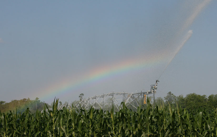 irrigation-rainbow21.jpg