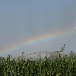 irrigation-rainbow21.jpg