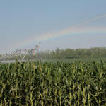 irrigation-rainbow22.jpg