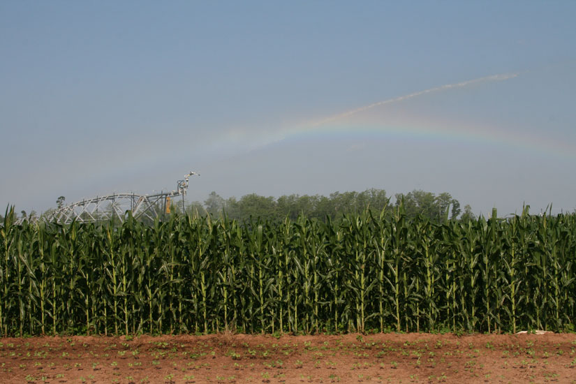 irrigation-rainbow28.jpg