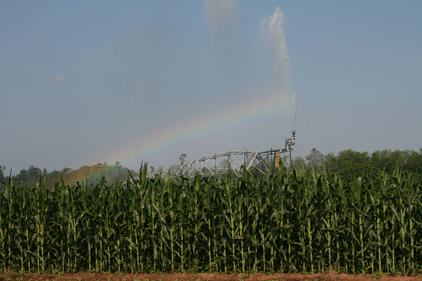irrigation-rainbow29.jpg