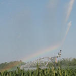 irrigation-rainbow30.jpg
