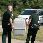 Animal Cruelty Investigation