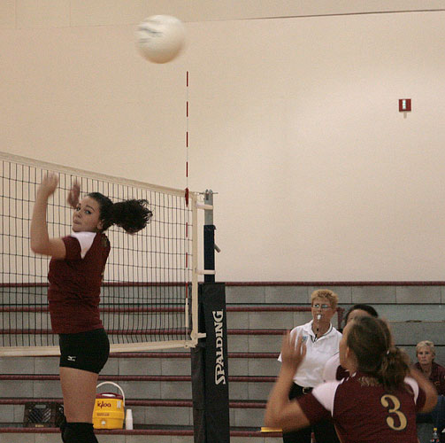 NHS-Volleyball-24.jpg