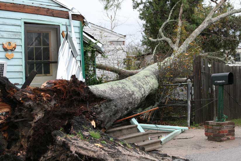 Tree Down On House, Vehicles