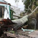 Storm Damage 2/06/08