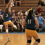 EWMS-Volleyball-Blue-14.jpg