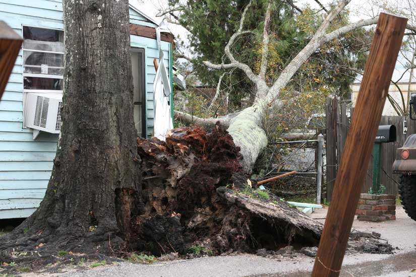 Tree Down On House, Vehicles