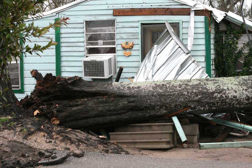 Tree Down On House, Vehicles