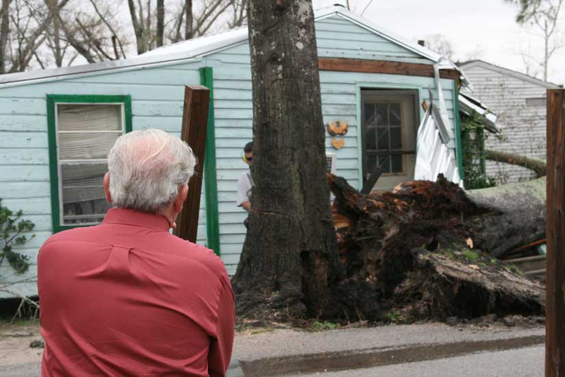 Mayor Freddie McCall Watches As Remaining Portion of Tree Is Cut
