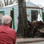 Mayor Freddie McCall Watches As Remaining Portion of Tree Is Cut