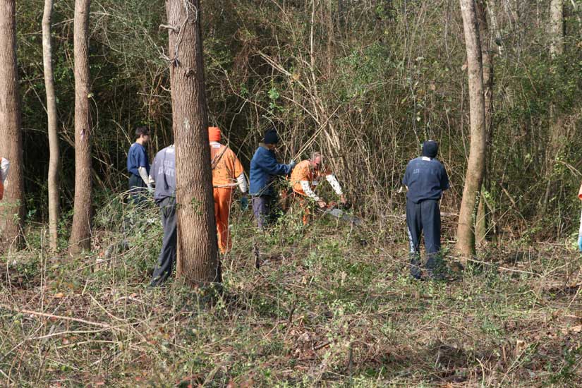 Prisoners Clear Lot