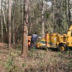 Road Prison Crews Cleaned Lot