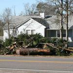 Debris piles: a common sight